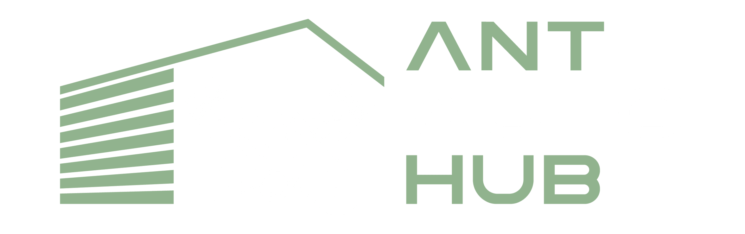 Ant Auto Hub